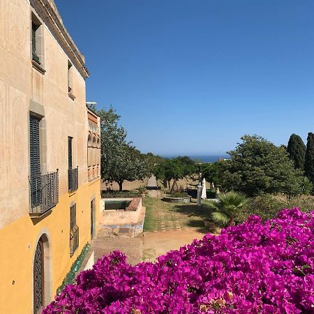 B&B Can Casadella Premia De Dalt Dış mekan fotoğraf