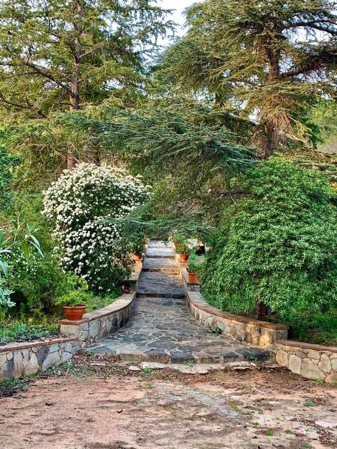 B&B Can Casadella Premia De Dalt Dış mekan fotoğraf